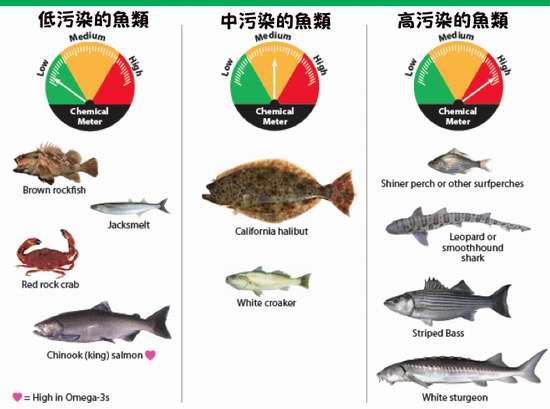 震惊世人的真相：盘点人们绝不能吃鱼的10个理由